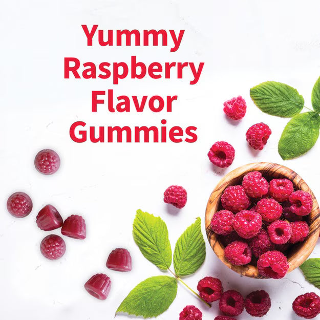 Garden of Life Dr. Formulated Magnesium + Pre & Probiotics Gummies – Raspberry (60 gummies)